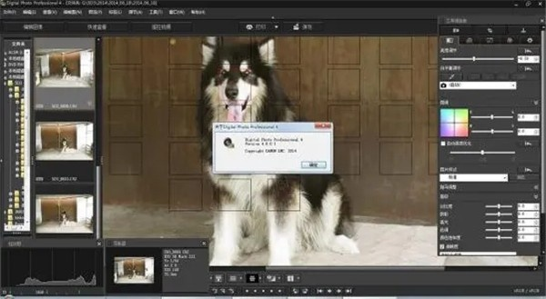 手游女孩与佳能eos下载攻略，软件特色及核心优势解析