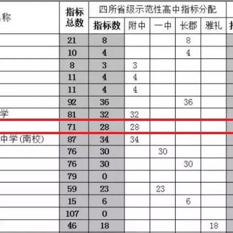 南岸直升机事件最新进展全面解析