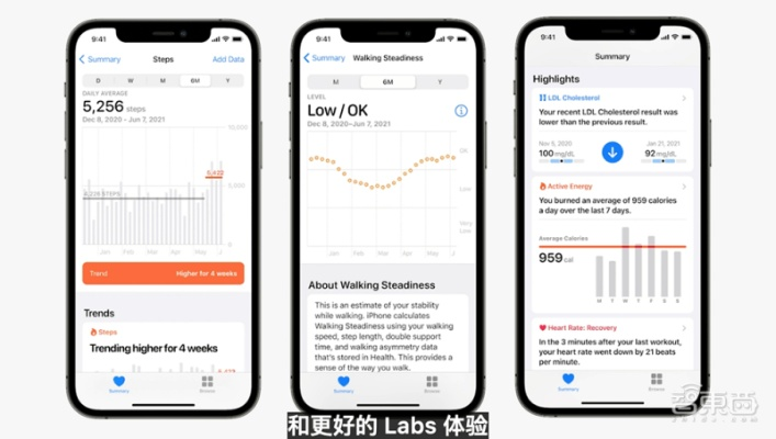 Spyder iPhone版v6.501，数据分析决策的首选工具