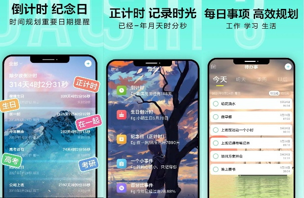一直爱APP旧版本,高效计划实施指南_S1 v3.546介绍