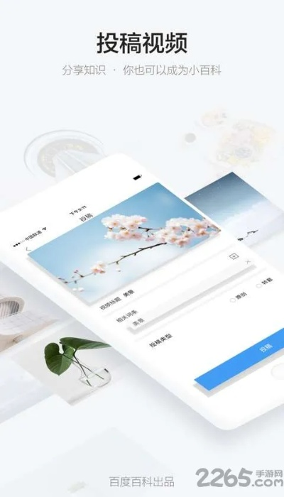 百科全书官方下载v5.114，重要性分析与视频版指南