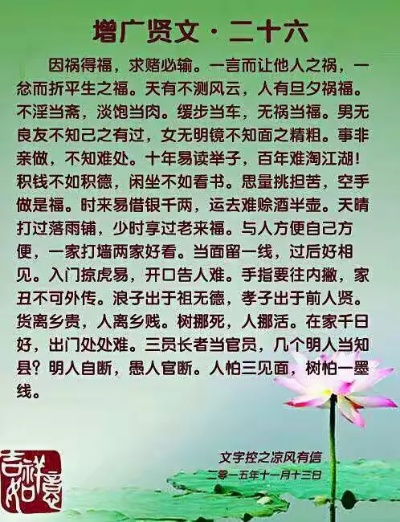 增广贤文领航版v9.136,专业工具引领风尚标