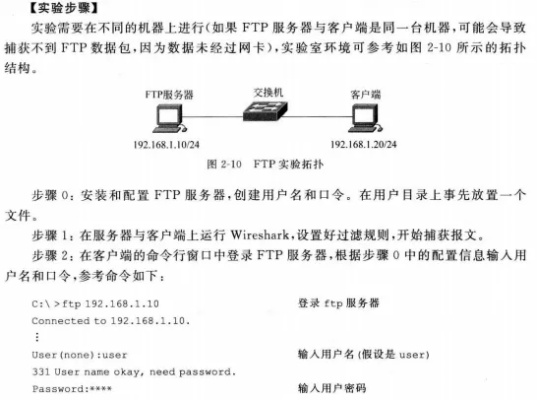 SFTP软件游戏版v2.907,官方下载与最新解答定义