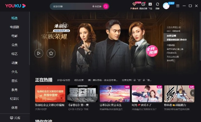 优酷旧版本数据解析，深入理解定义 2DM_v4.826版本特性