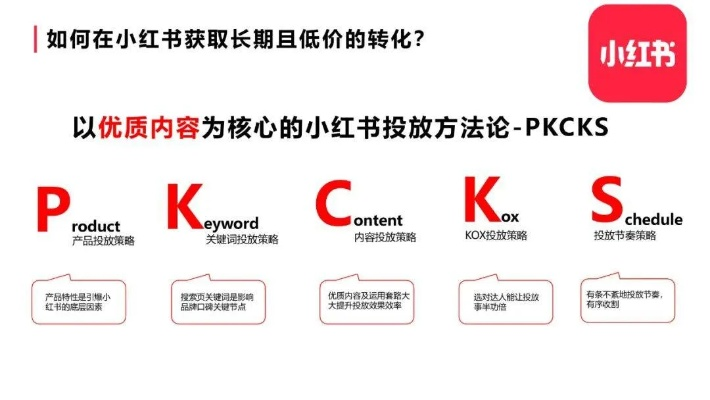 小红书官方下载，精细化评估解析工具4DM_v9.853