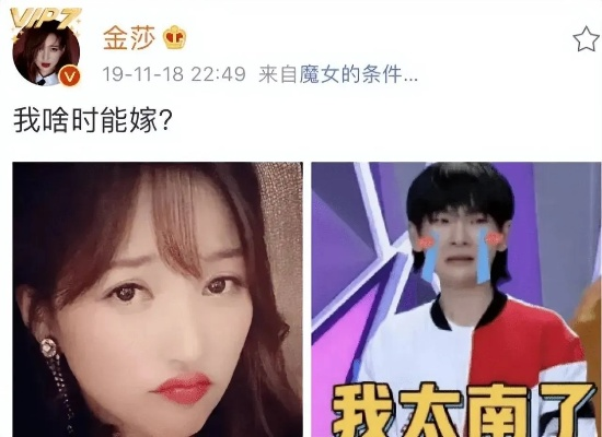 金莎秀直播官方下载,VR版解析与下载指南_v1.580