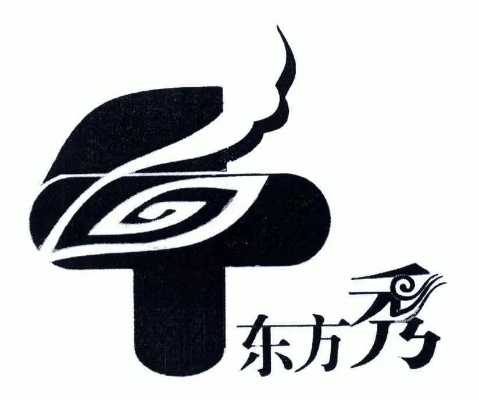 东方秀视频官方下载解析解读进阶版v2.675,实效性与进阶功能体验