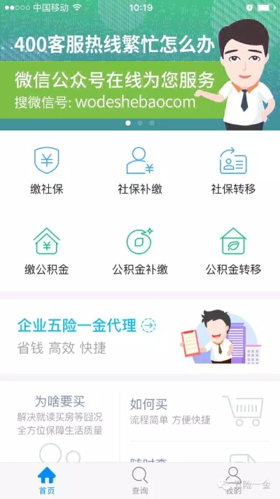 社保官方APP下载解析，数据支持策略更新版v1.952