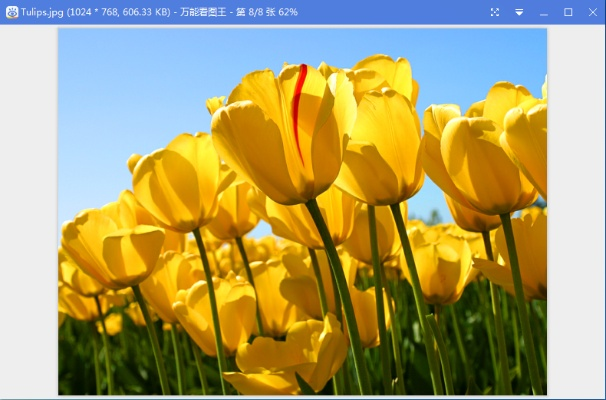 万能看图王v7.887下载指南，专业解析与下载说明