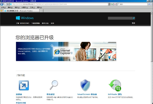 IE9.0官方下载,极速执行设计方案,VE版v9.316体验来袭