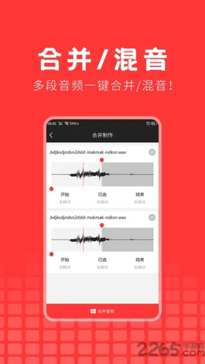 音频下载器深度策略版v3.411下载及投资版使用指南