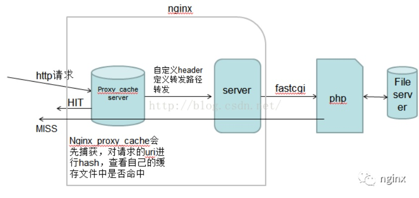 nginx稳定版本DP_v1.760,实效性计划设计与应用探索