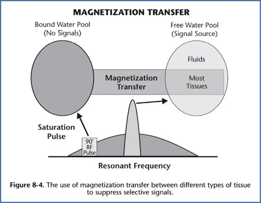 根据您的需求，以下是一个符合要求的标题，，Mr成功v9.306官方下载，全面解析与说明