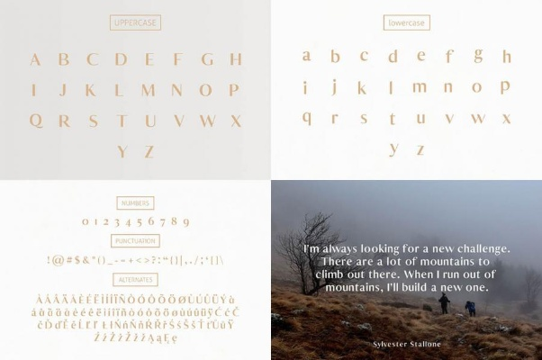 官方英语字体下载,设计与执行方案bundle_v3.435全攻略