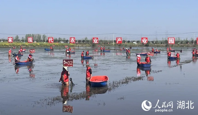 潜江晃晃下载官网,精细方案实施V8.232超值版上线