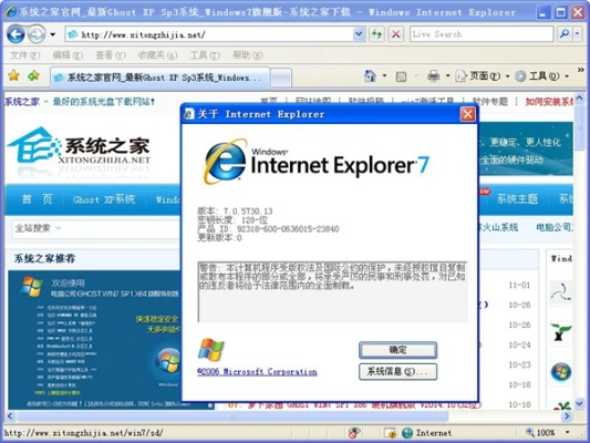 ie7浏览器中文版下载,免费强大的软件解析方案