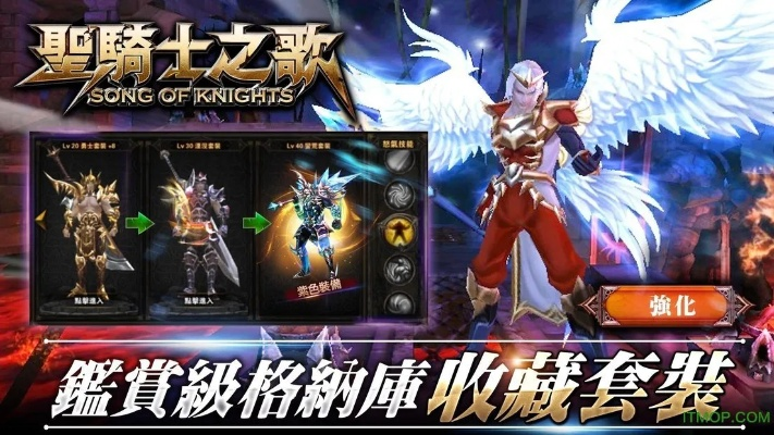 圣骑士之歌激活码与单机版详解,理论依据与定义介绍——XP系统v7.947版