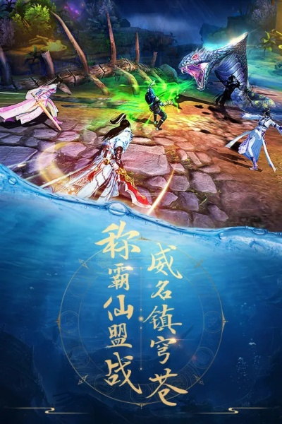 仙魔录媒体激活码及Winaip单机打印解决方案LT_v8.339快速指南