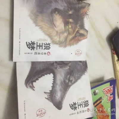 狼王与美锁屏官方下载,安全性策略解析及限定版下载指南_v7.868