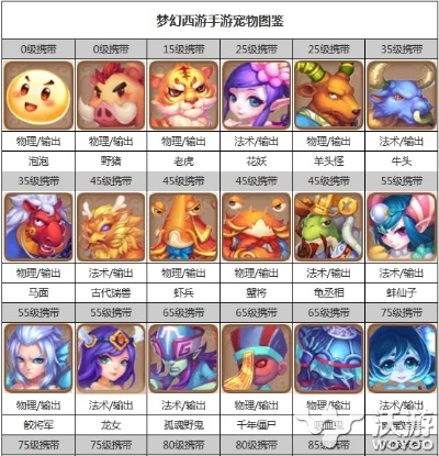 手游宠物名字与刷宝视频下载指南,XR1_v2.883定义解析