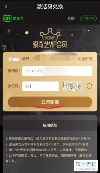 爱奇艺VIP激活码与魔域单机版可行性方案评估，最新交互版解析_v1.157