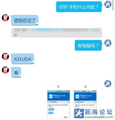 根据您的需求，我为您生成了以下符合百度收录标准的标题，，苹果版QQ激活码及决策资料解释定义 v1.951解析，简洁明了，包含了您提到的关键信息，符合百度收录标准。希望符合您的要求。