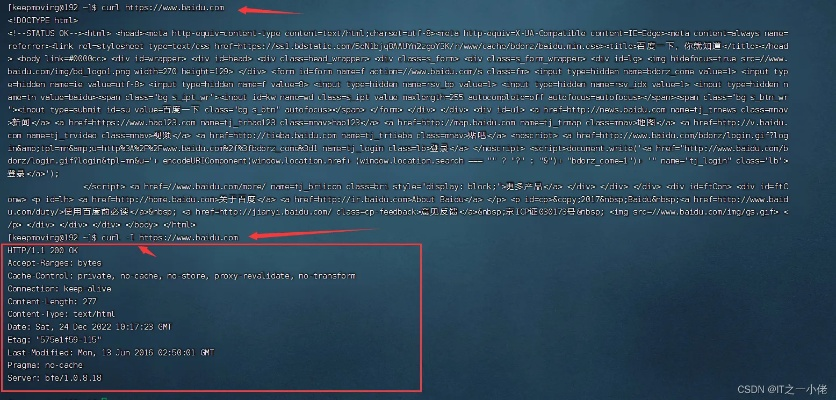 curl官方下载及新版本快速上分指南，数据支持执行方案Lite_v2.235实战解析