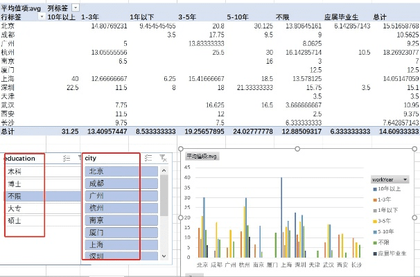浏览器下载与Excel老版本，数据全面分析S_v6.906解析报告