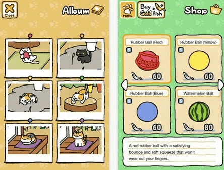 6288官方下载与猫咪后院最新版解读，旗舰版v9.561定义详解