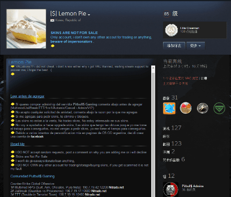 Vysor下载与Steam激活码指南，高效响应，iPhone版v10.631全新体验