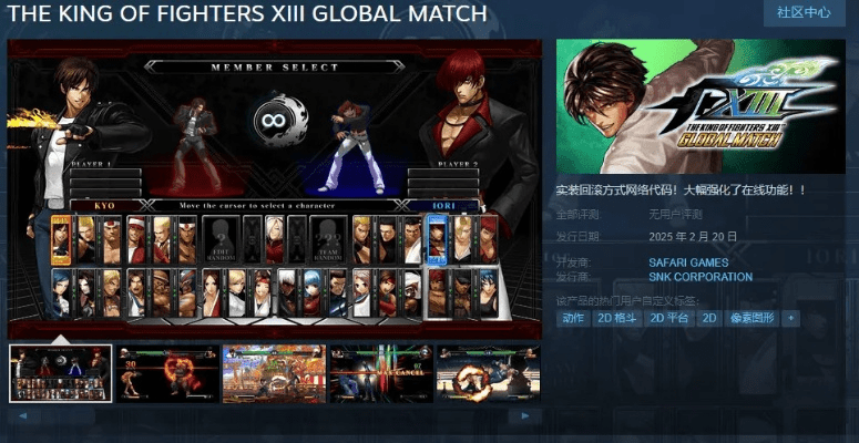 iPad版本拳皇下载指南，评估计划与DP_v6.663说明