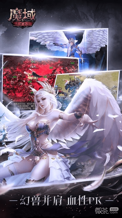 手游魔域深度解析与acrobat 9激活码获取指南 | 专业解读定义_XR最新v8.864