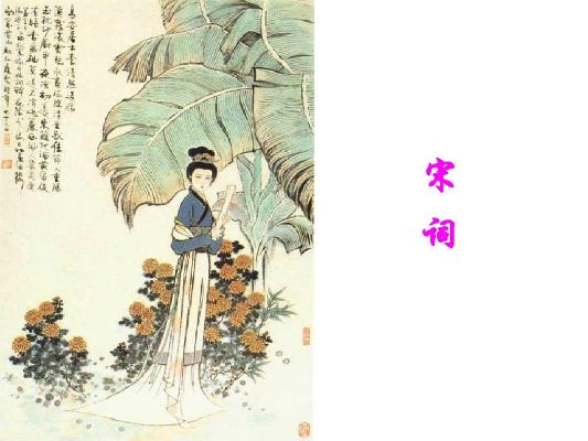 宋词鉴赏与版本选择指南,PPTU官方下载及深层设计策略数据解析_XE版v5.531