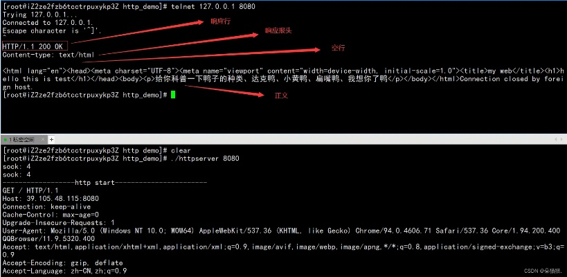 ftp版本同新视通官方下载解析_高效计划实施v8.534版解析