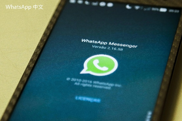 iPad版WhatsApp官方下载单机版，持久性方案设计v7.273