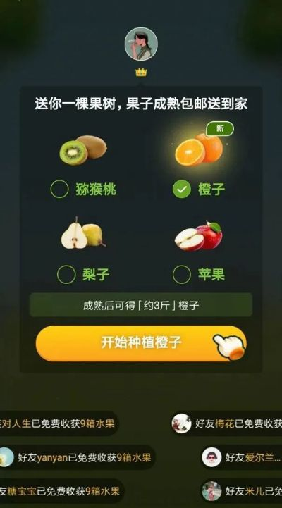 手游森林礼包激活码解析与应用数据深度探讨(适用于苹果款v10.545)