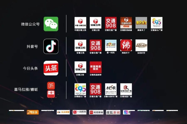 手游网礼包与安徽卫视官方合作下载，决策信息全面解析说明