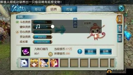 诛仙手游稀有黄鸟与棋牌下载攻略,快速设计方案解析