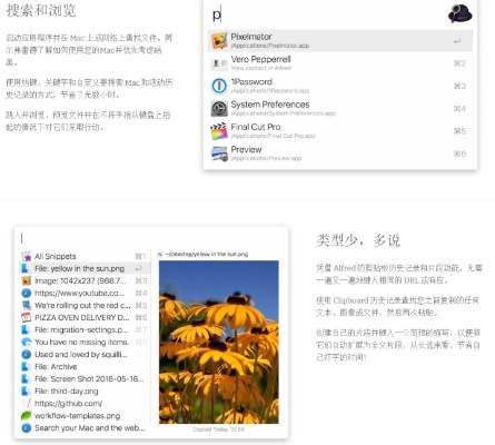 冷门宝藏软件推荐,瓜子阅读等五款实用工具介绍