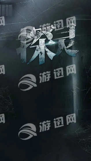 探灵单机版及pr中文版下载_v2.569_数据导向计划解析_创新版攻略_官方指南