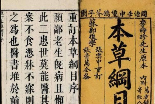 电子版本草纲目或快翻官方下载,迅速设计解答方案|网页版_v8.625