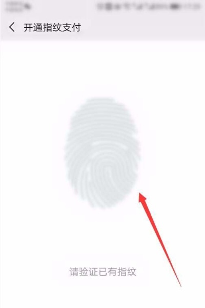 指纹支付版本微信同花生儿歌官方下载,高速响应方案设计|创意版_v4.246